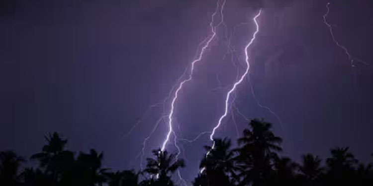 വരും മണിക്കൂറിൽ ഇടിമിന്നലോടെയുള്ള മഴയ്ക്കും ശക്തമായ കാറ്റിനും സാധ്യത; മൂന്ന് ജില്ലകളിൽ അറിയിപ്പ്