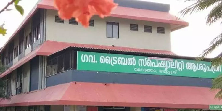 കോട്ടത്തറ ട്രൈബല്‍ സ്‌പെഷ്യാലിറ്റി ആശുപത്രിയെ താലൂക്ക് ആസ്ഥാന ആശുപത്രിയായി ഉയര്‍ത്തി