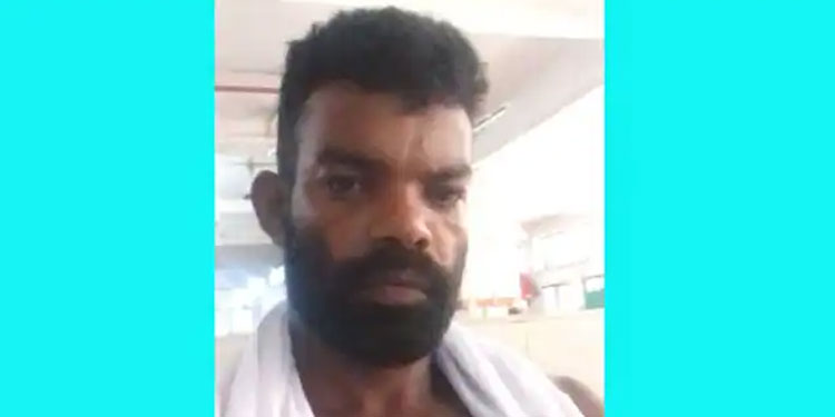 കടന്നലുകൾ കൂട്ടത്തോടെ കുത്തി, ജീവിതത്തിനും മരണത്തിനുമിടയിൽ മണിക്കൂറുകൾ, ഷാജി അപകടനില തരണം ചെയ്തു
