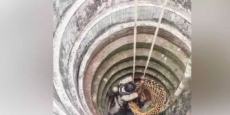 പൂച്ചയെ രക്ഷപ്പെടുത്താൻ കിണറ്റിലിറങ്ങിയ വയോധികനെ അഗ്​നിരക്ഷ സേന രക്ഷിച്ചു