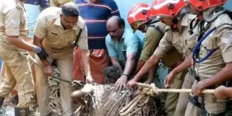 80 അടി താഴ്ചയുള്ള കിണറിൽ വീണ മൂന്ന് യുവാക്കളെ ഫയർഫോഴ്സെത്തി രക്ഷപ്പെടുത്തി