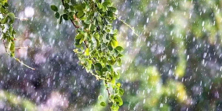 വേനൽ കനക്കുന്നതിനിടെ കേരളത്തിൽ മൂന്ന് ജില്ലകളിൽ മഴക്ക് സാധ്യതയെന്ന്