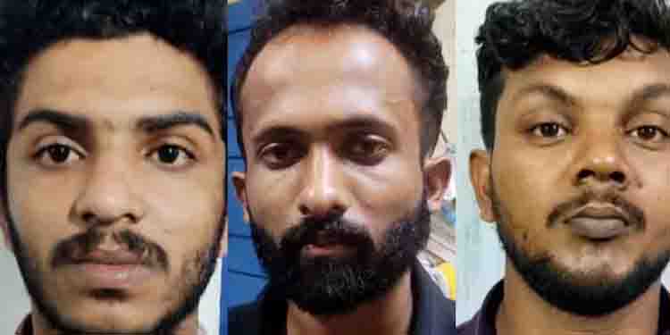 മുൻ ഭാര്യയോടുള്ള പക, എല്ലാത്തിനും ബാദുഷക്ക് കൂട്ടു നിന്നത് ജോബിൻ; കാറിൽ എംഡിഎംഎ വെച്ച കേസിൽ ഒരാൾ കൂടി പിടിയിൽ