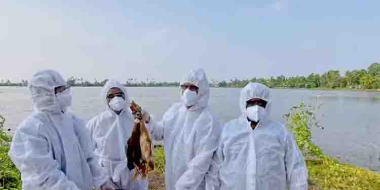 പക്ഷിപ്പനി: താറാവ്, കോഴി എന്നിവയുടെ ഇറച്ചിയും മുട്ടയും വിൽക്കുന്നതിന് ആലപ്പുഴയിൽ പ്രാദേശിക നിരോധനം