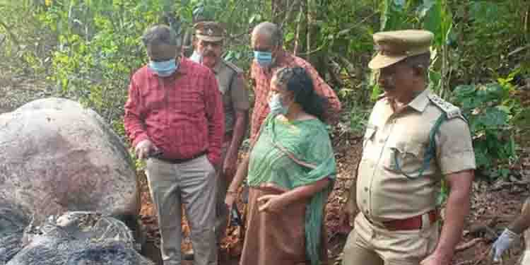 കാട്ടാന ചരിഞ്ഞ നിലയിൽ; വെള്ളം കിട്ടാതെ ചരിഞ്ഞതെന്ന് സംശയം