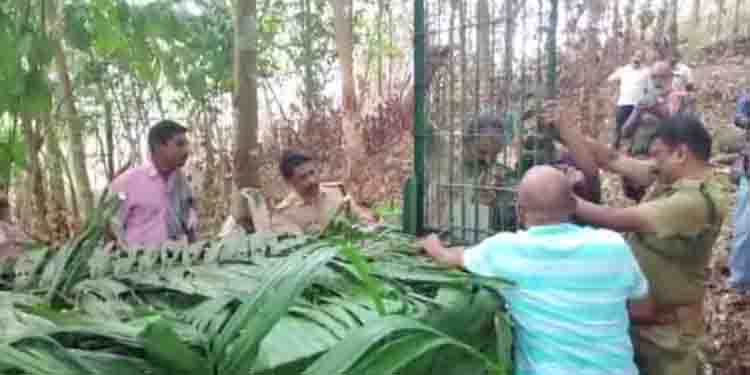 പാറക്കടവ് മഞ്ഞുമ്മാവിൽ പുലി, സ്ഥിരീകരിക്കാതെ വനംവകുപ്പ്; നിരീക്ഷണം ശക്തമാക്കി