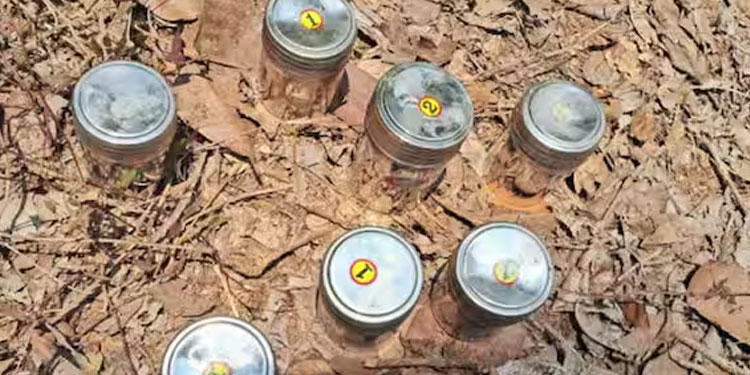 പാനൂര്‍ സ്ഫോടനം; രണ്ട് പേര്‍ കൂടി അറസ്റ്റിൽ, നിര്‍ണായക വിവരം തേടി പൊലീസ്, ഒളിവിലുള്ളവര്‍ക്കായി അന്വേഷണം