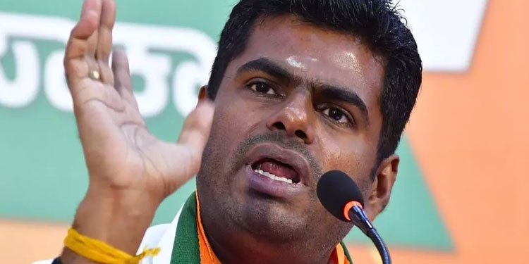 ഹിന്ദി വിരുദ്ധ സമരത്തെ പഴകിയ ചെരുപ്പിനോട് ഉപമിച്ച് അണ്ണാമലൈ; അവഹേളനമെന്ന് ഡി.എം.കെ