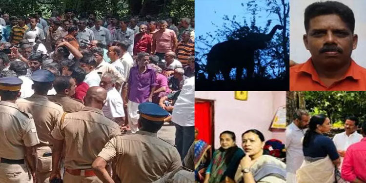 കാട്ടാന ചവിട്ടിക്കൊന്ന ബിജു മാത്യുവിന്‍റെ കുടുംബത്തിന് 50 ലക്ഷം നല്‍കാന്‍ ശുപാര്‍ശ