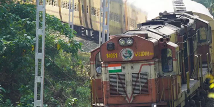 ട്രെയിനിൽ യാത്രക്കാരനെ കടിച്ചത് പാമ്പ് തന്നെയെന്ന് സ്ഥിരീകരണം