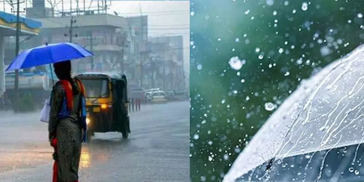 തെക്കൻ കേരളത്തിൽ വേനൽ ചൂടിന് ആശ്വാസമായി നേരിയ മഴക്ക് സാധ്യത