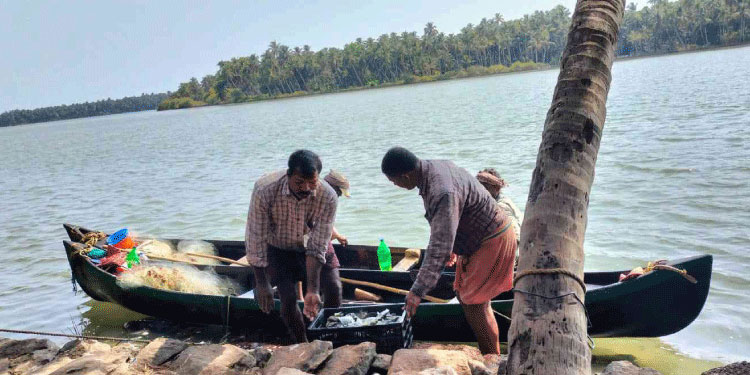 കൊടും ചൂട്: കടൽ മത്സ്യം കുറഞ്ഞു; പുഴമത്സ്യത്തിന് ആവശ്യക്കാരേറി