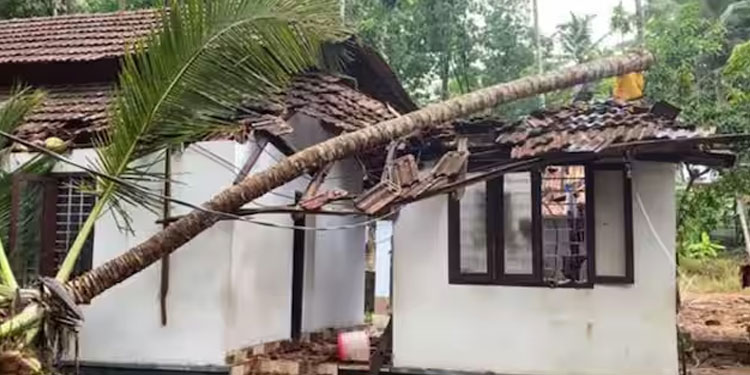 ശക്തമായ മഴയും കാറ്റും; വീടിന് മുകളിലേക്ക് തെങ്ങ് വീണ് വീട്ടമ്മക്ക് പരുക്ക്
