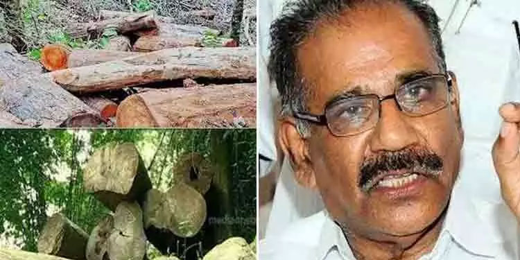 സുഗന്ധഗിരി മരംമുറി: ഡി.എഫ്.ഒയുടെ സസ്പെൻഷൻ മരവിപ്പിച്ച് മന്ത്രി