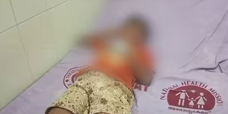 വൈകിട്ട് നാലര മണി, വയനാട്ടിലെ മുഹമ്മദിന്റെ വീടിനകത്തേക്ക് അതിവേഗം ഓടിക്കയറി കാട്ടുപന്നി, 3 പേര്‍ക്ക് പരിക്ക്