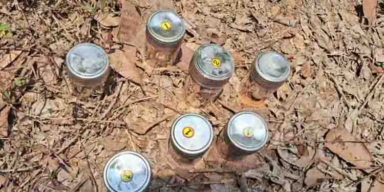 പാനൂര്‍ ബോംബ് നിര്‍മാണം; ഷിജാല്‍ ഡിവൈഎഫ്ഐ ഭാരവാഹി, സ്റ്റീൽ പാത്രങ്ങള്‍ വാങ്ങിയത് കല്ലിക്കണ്ടിയിൽ നിന്ന്