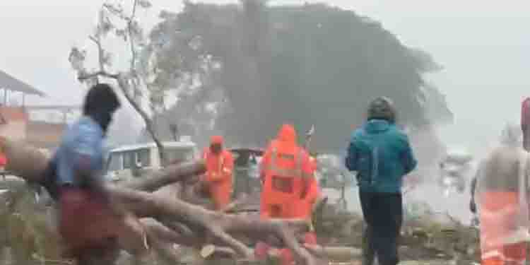 ശക്തമായ മഴ: ചേര്‍ത്തല ദേശീയപാതയില്‍ മരം കടപുഴകി വീണ് ഗതാഗത തടസം