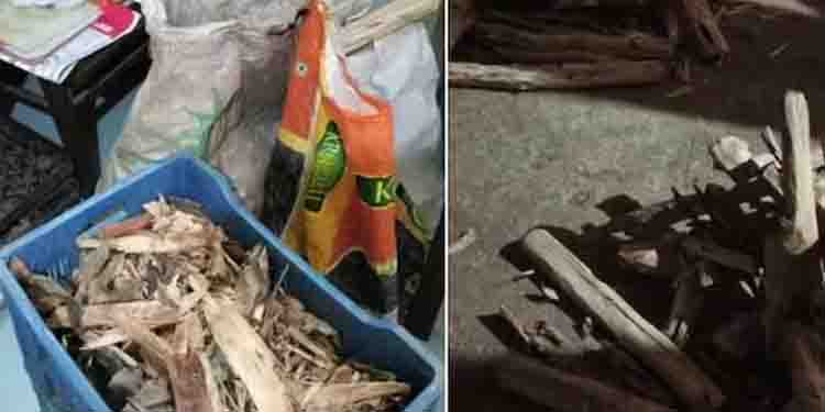 പാലക്കാട്ട് വൻ ചന്ദനവേട്ട; മൂന്ന് വീടുകളില്‍ നിന്നായി പിടിച്ചത് 97 കിലോ ചന്ദനം