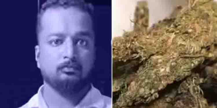 ലോഡ്ജിൽ മുറിയെടുത്ത് കഞ്ചാവ് വിൽപ്പന; യുവാവ് അറസ്റ്റിൽ, രണ്ടുപേർ ഒളിവിൽ