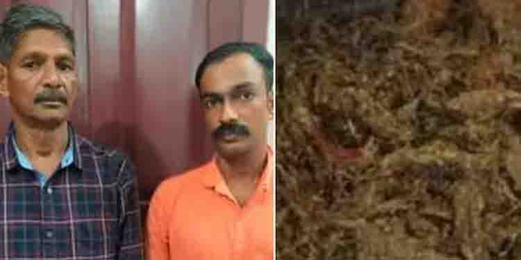 കഞ്ചാവുമായി രണ്ട് പേർ പിടിയില്‍; ചോദ്യം ചെയ്തപ്പോൾ ലഭിച്ചത് നിർണായക വിവരങ്ങൾ, വീട്ടിലും എക്സൈസ് റെയ്ഡ്