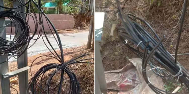 വടകരയില്‍ ഫോണും ഇന്റര്‍നെറ്റും നിശ്ചലം; അന്വേഷിച്ചപ്പോള്‍ കണ്ടത് ‘ഞെട്ടിക്കുന്ന’ കാഴ്ച