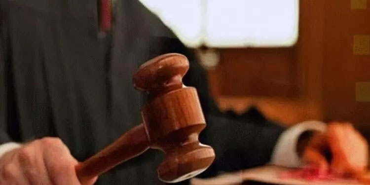 200 മരങ്ങൾ നട്ടാൽ ജാമ്യം തരാം; വിചിത്ര വിധിയുമായി ഒഡിഷ ഹൈകോടതി