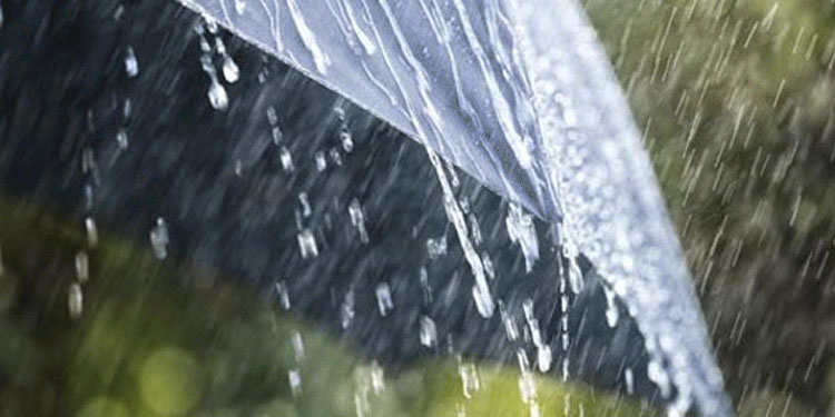 ഇനി പെരുമഴക്കാലം; അഞ്ച് ജില്ലകളിൽ ഓറഞ്ച് അലര്‍ട്ട്, എല്ലാ ജില്ലകളിലും മഴ മുന്നറിയിപ്പ്