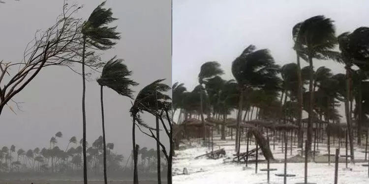 ശക്തമായ കാറ്റിനെ നേരിടാനുള്ള പൊതുജാഗ്രത നിർദേശങ്ങൾ പുറത്തിറക്കി