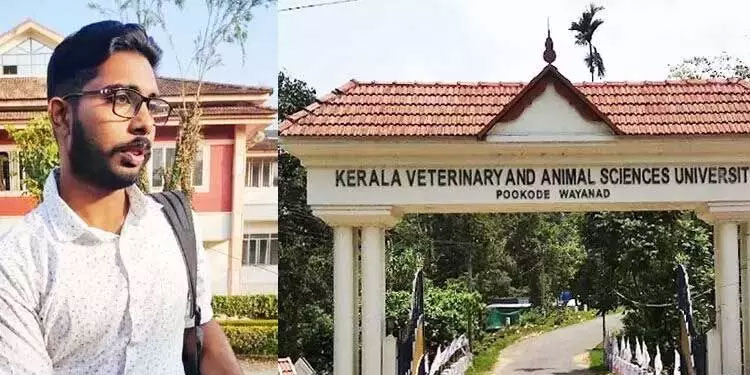 സിദ്ധാർഥന്‍റെ മരണം: അറസ്റ്റിലായ വിദ്യാർഥികള്‍ക്ക് ഉപാധികളോടെ ജാമ്യം