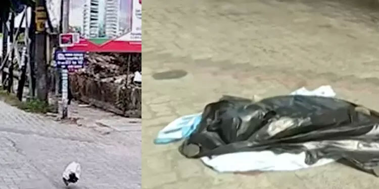 കൊച്ചിയിൽ നവജാതശിശുവിനെ റോഡിലേക്ക് എറിഞ്ഞത് അമ്മ; കുറ്റം സമ്മതിച്ചു