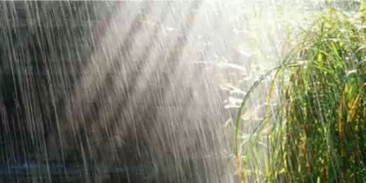 കേരളത്തിൽ15 വരെ മഴക്ക് സാധ്യത; ഇന്ന് അഞ്ച് ജില്ലകളിൽ യെല്ലോ അലർട്ട്