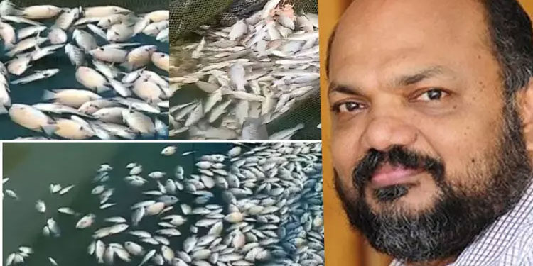 പെരിയാറിൽ മത്സ്യങ്ങൾ ചത്ത സംഭവം: റിപ്പോർട്ടിന്റെ അടിസ്ഥാനത്തിൽ തുടർ നടപടിയെന്ന് പി. രാജീവ്