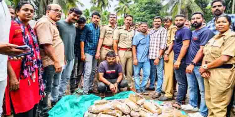 കാറിന്റെ ഡിക്കിയിൽ ചെറിയ പാക്കറ്റിലാക്കിയ 50 കിലോ കഞ്ചാവ്, മഞ്ചേരിയിൽ കഞ്ചാവ് വേട്ട, 44കാരൻ പിടിയിൽ