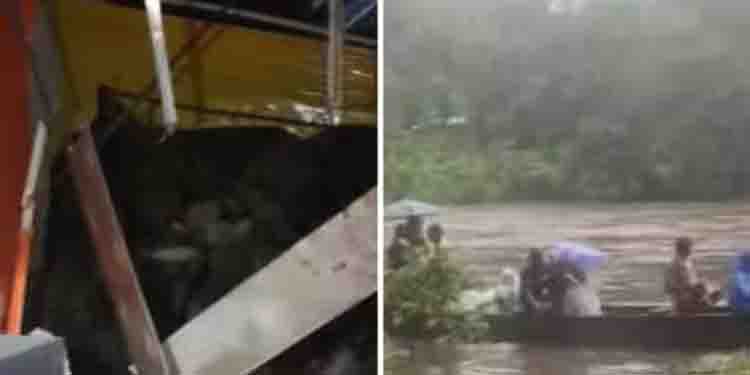 ദുരിത മഴ തുടരുന്നു; വീടിന് മുകളിൽ മരം വീണ് അപകടം, ​ഗതാ​ഗത തടസം; പെരിയാർ തീരത്ത് ജാ​ഗ്രതാ നിർദേശം