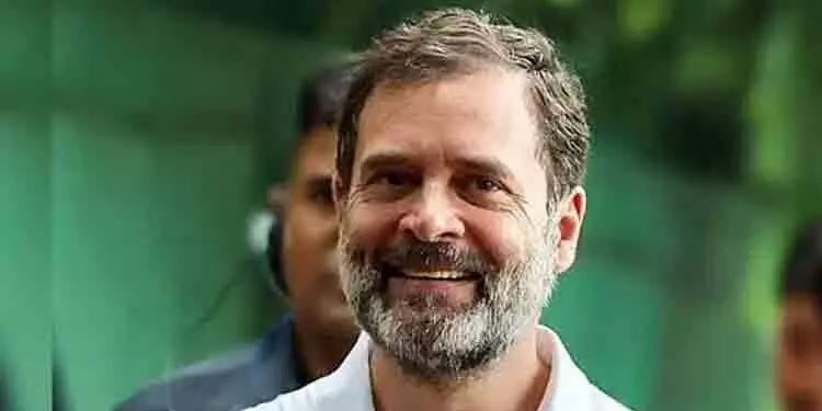 രാഹുൽ ഗാന്ധി തന്നെ പ്രതിപക്ഷ നേതാവാകണമെന്ന് കോൺഗ്രസ് നേതാക്കൾ