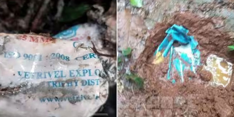 വയനാട് തലപ്പുഴയിൽ കുഴിബോംബുകള്‍; കണ്ടെത്തിയത് മാവോയിസ്റ്റ് സാന്നിധ്യം സജീവമായുള്ള മേഖലയില്‍