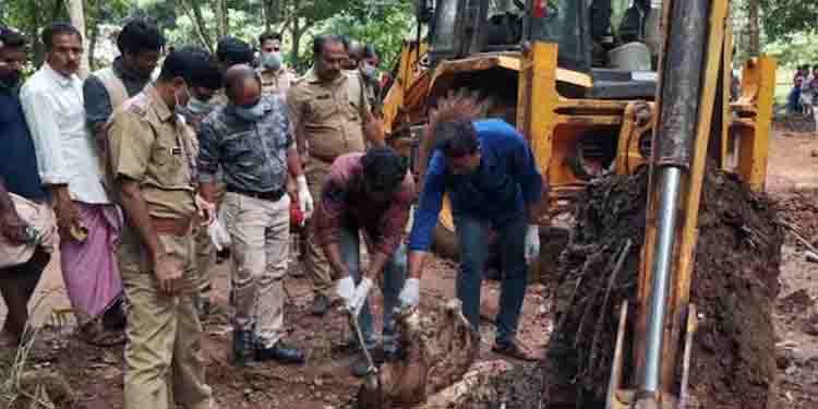 വാഴക്കോട് കാട്ടാനയുടെ കൊമ്പെടുത്ത സംഭവം: ഒരു വര്‍ഷം കഴിഞ്ഞിട്ടും കുറ്റപത്രം നല്‍കിയില്ല, 11 പ്രതികളും പുറത്ത്