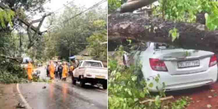 കനത്ത മഴ, മണ്ണിടിച്ചിൽ; ഇടുക്കിയിലെ മലയോര മേഖലയിൽ അതീവ ജാഗ്രത, മൂന്നാറിൽ 3 ദുരിതാശ്വാസ ക്യാമ്പുകൾ തുറന്നു