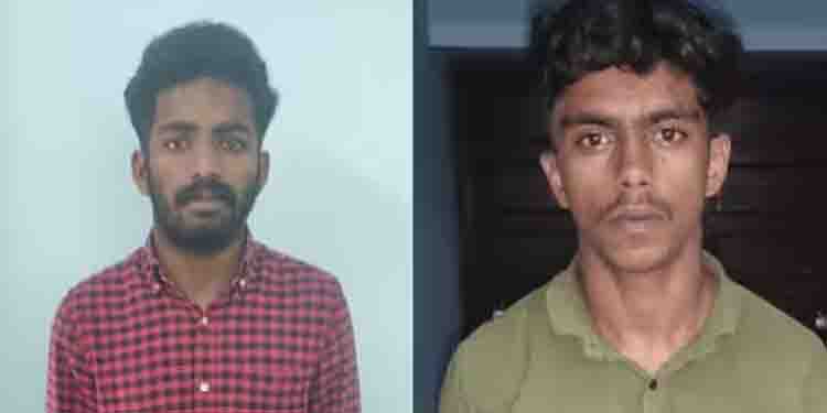 വീട്ടുമുറ്റത്ത് നിന്ന് മോഷ്ടിച്ചത് 3 ലക്ഷം വിലയുള്ള കാപ്പി; വയനാട്ടിൽ യുവാക്കളെ പൊക്കി