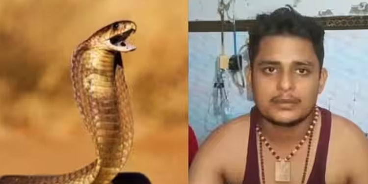 എവിടെപ്പോയാലും പാമ്പുകൾ പിന്നാലെ, ഒന്നര മാസത്തിനിടെ കടിയേറ്റത് ആറുതവണ, എന്നിട്ടും വികാസ് ജീവിതത്തിലേക്ക്