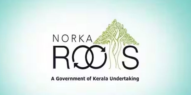 നോര്‍ക്ക പ്രവാസി ബിസിനസ് മീറ്റ് ഓഗസ്റ്റ് 28ന്; ഇപ്പോള്‍ രജിസ്റ്റര്‍ ചെയ്യാം