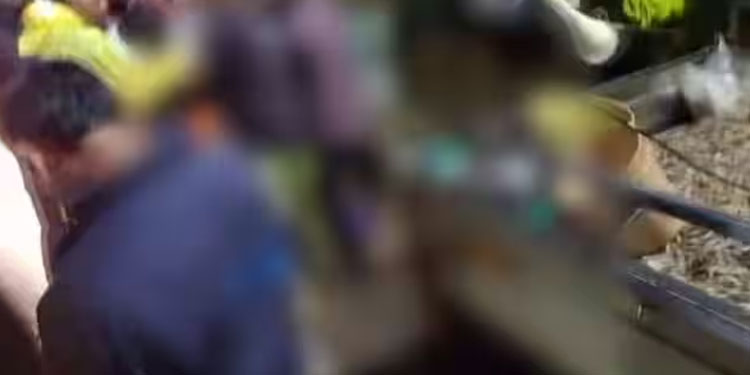 വയനാട്ടിൽ മീൻ വിലകുറച്ച് വിറ്റതിന് ആൾക്കൂട്ട മർദ്ദനം; ദൃശ്യങ്ങൾ പുറത്ത്, കേസെടുക്കുമെന്ന് പൊലീസ്