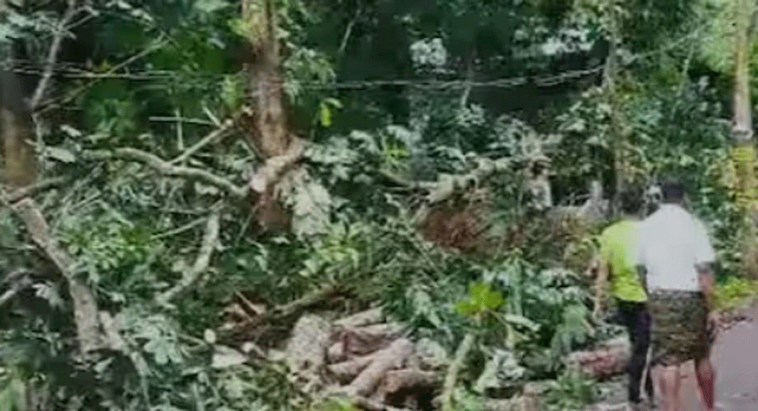 മലപ്പുറം ജില്ലയിലെ കരുവാരകുണ്ടിൽ ഇന്നലെയുണ്ടായ കനത്ത മഴയിലും കാറ്റിലും ലക്ഷങ്ങളുടെ നാശനഷ്ടം