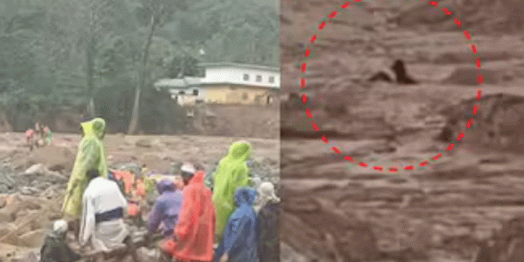ഉരുള്‍പൊട്ടലിനെ തുടര്‍ന്ന് മണ്ണില്‍ കുടുങ്ങിയ ആളെ മണിക്കൂറുകള്‍ക്കുശേഷം അതിസാഹസികമായി രക്ഷപെടുത്തി