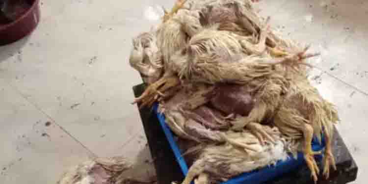 കടയില്‍ നിന്ന് വാങ്ങിയ കോഴിയിറച്ചിയില്‍ നിന്ന് ദുര്‍ഗന്ധം, പരിശോധിച്ചപ്പോള്‍ ഇറച്ചിയിൽ പുഴു, സ്ഥാപനം പൂട്ടി