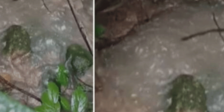 ബാലുശ്ശേരിയിൽ മലവെള്ളം ഭൂമിയിലേക്ക് വലിയ ശബ്ദത്തോടെ ഒലിച്ചിറങ്ങുന്നതായി നാട്ടുകാര്‍