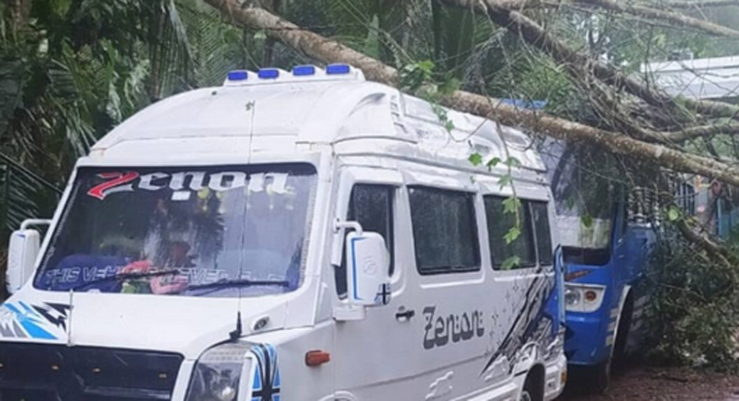 കോഴിക്കോട് ബസിനും ട്രാവലറിനും മുകളിലേക്ക് മരം പൊട്ടി വീണു