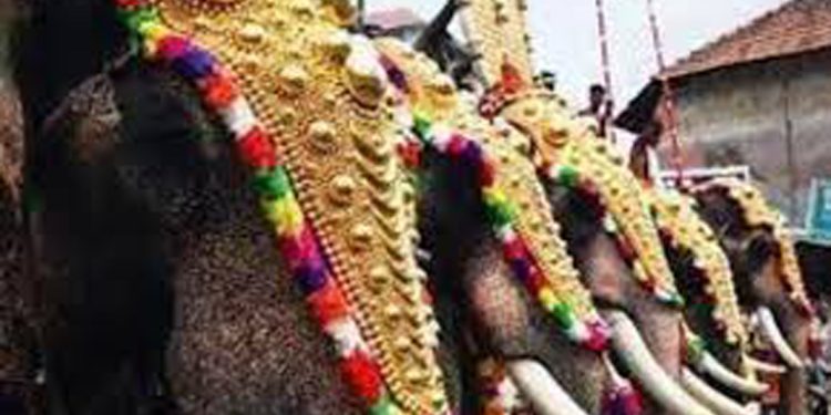 ആന എഴുന്നള്ളിപ്പില്‍ കര്‍ശന നിയന്ത്രണങ്ങള്‍ക്ക് ശുപാര്‍ശ ചെയ്ത് അമിക്കസ് ക്യൂറി റിപ്പോര്‍ട്ട്
