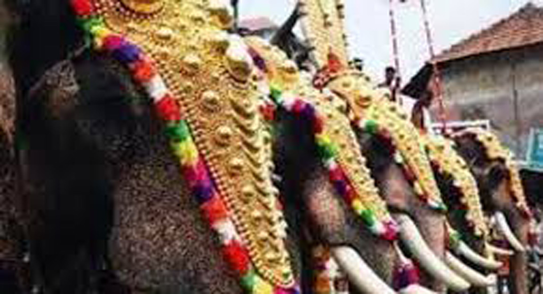 ആന എഴുന്നള്ളിപ്പില്‍ കര്‍ശന നിയന്ത്രണങ്ങള്‍ക്ക് ശുപാര്‍ശ ചെയ്ത് അമിക്കസ് ക്യൂറി റിപ്പോര്‍ട്ട്