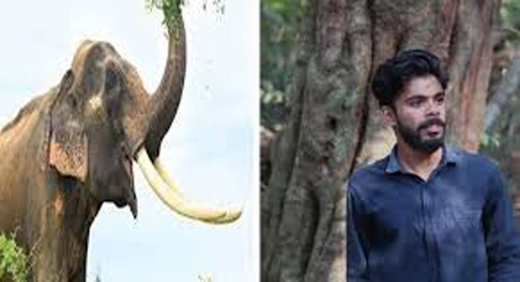 മുള്ളരിങ്ങാട് കാട്ടാന ആക്രമണത്തിൽ മരിച്ച അമർ ഇലാഹിയുടെ ഖബറടക്കം പൂർത്തിയായി